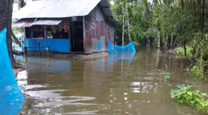 চাঁদপুরে টানা বৃষ্টিতে পানিবন্দি অনেক পরিবার 