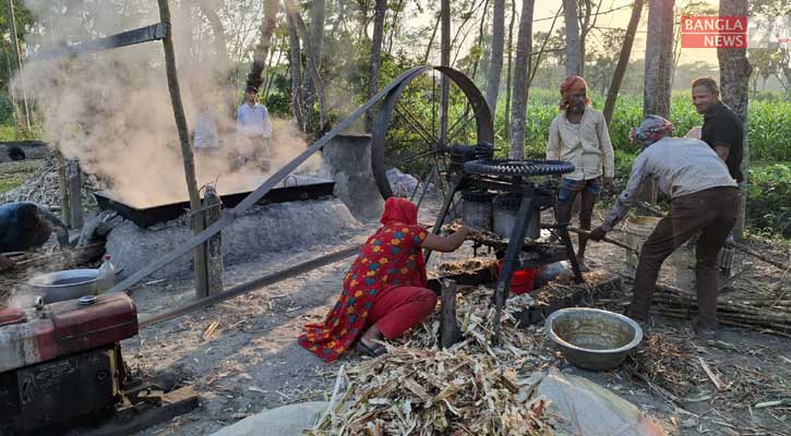 আখ পিষে রস বের করতে ব্যস্ত চাষিরা