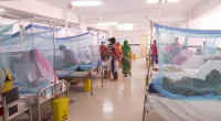 One more dengue patient dies; 49 hospitalized in 24hrs