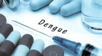 Dengue claims 7 more lives, 860 new cases reported in 24hrs