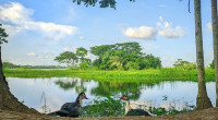 Met office forecasts dry weather across Bangladesh