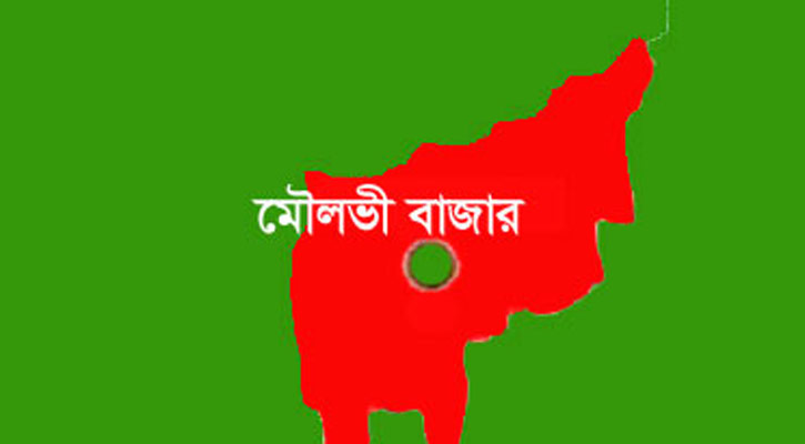 ভুল চিকিৎসায় গবাদিপশুর মৃত্যুর অভিযোগ