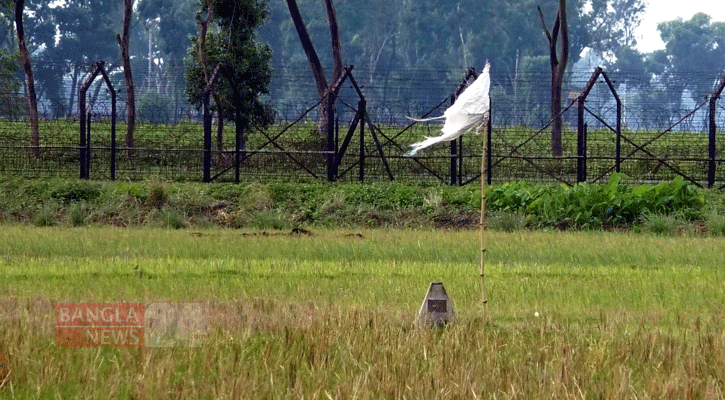 পোরশা সীমান্তে যুবক আটক 