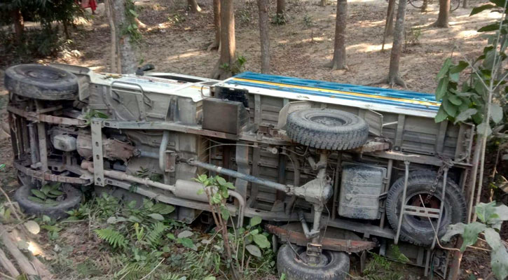 গরু চুরি করে পালানোর চেষ্টাকালে গাড়ি উল্টে ধরা পড়ল ৩ চোর!