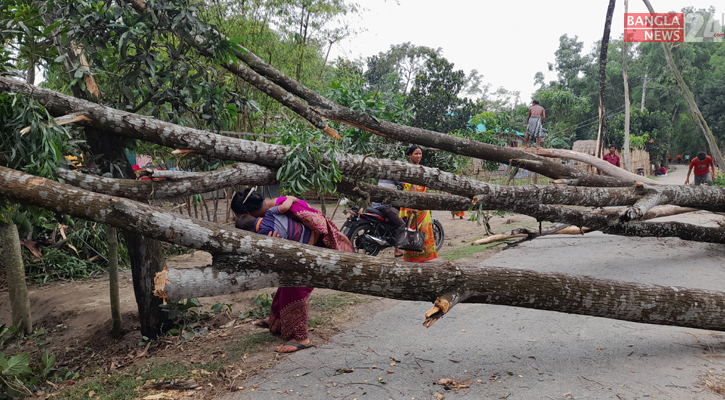 ঠাকুরগাঁওয়ে ১২ মিনিটের ঝড়ে লণ্ডভণ্ড ২০ গ্রাম, নিহত ৩ 