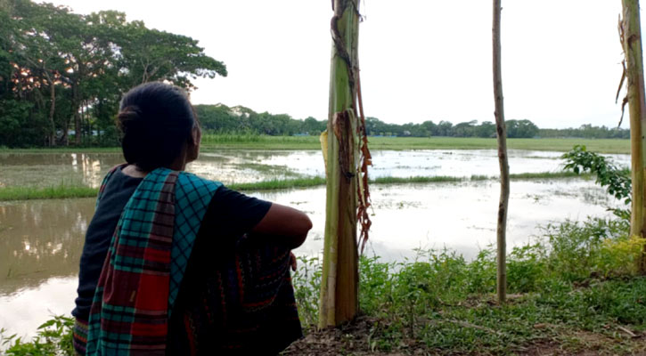 বরগুনায় রাখাইন জনগোষ্ঠীর জমি দখলের অভিযোগ