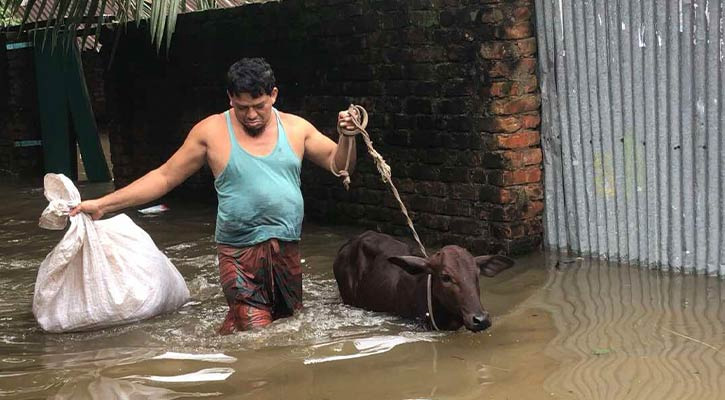 বন্যাকবলিত জেলায় সব কৃষি কর্মকর্তার ছুটি বাতিল