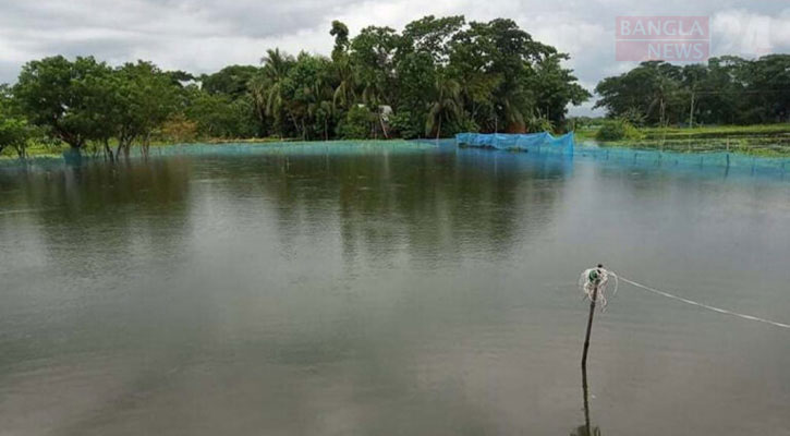 মৌলভীবাজারে ৩ হাজার পুকুরে ১৮ কোটি টাকার মৎস্যসম্পদের ক্ষতি       