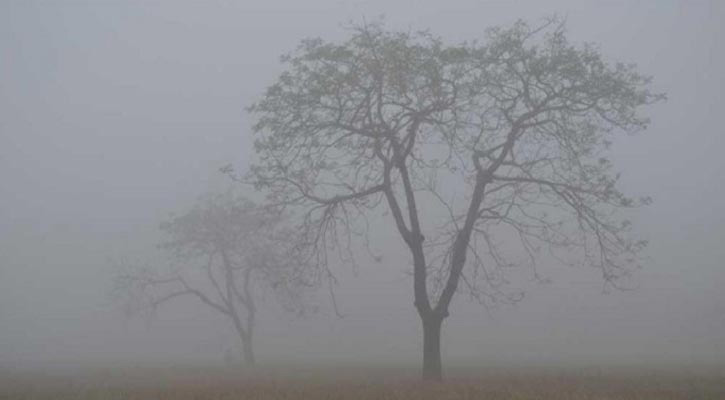 শেষরাত থেকে মাঝারি ধরনের কুয়াশা পড়তে পারে