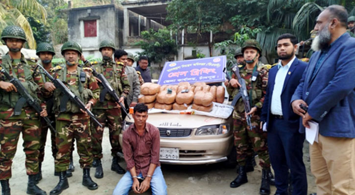 চাঁদপুরে ১ মণ গাঁজাসহ কারবারি আটক