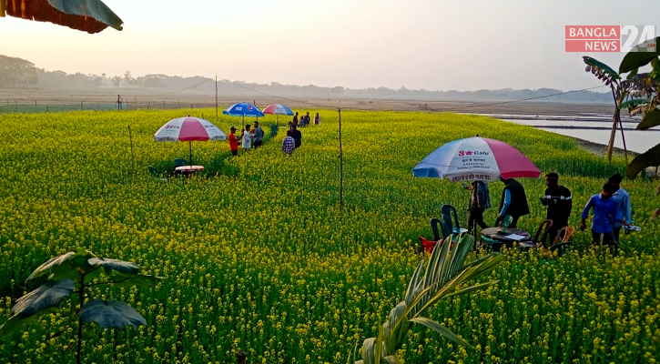 সরিষাক্ষেতে কফিশপ!