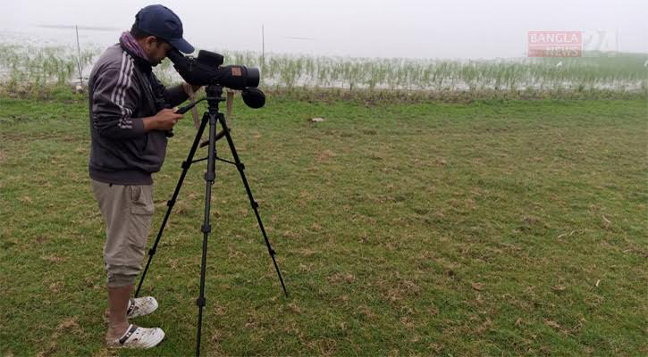 হাকালুকিতে ৩৫ হাজার জলচর পাখির বিচরণ